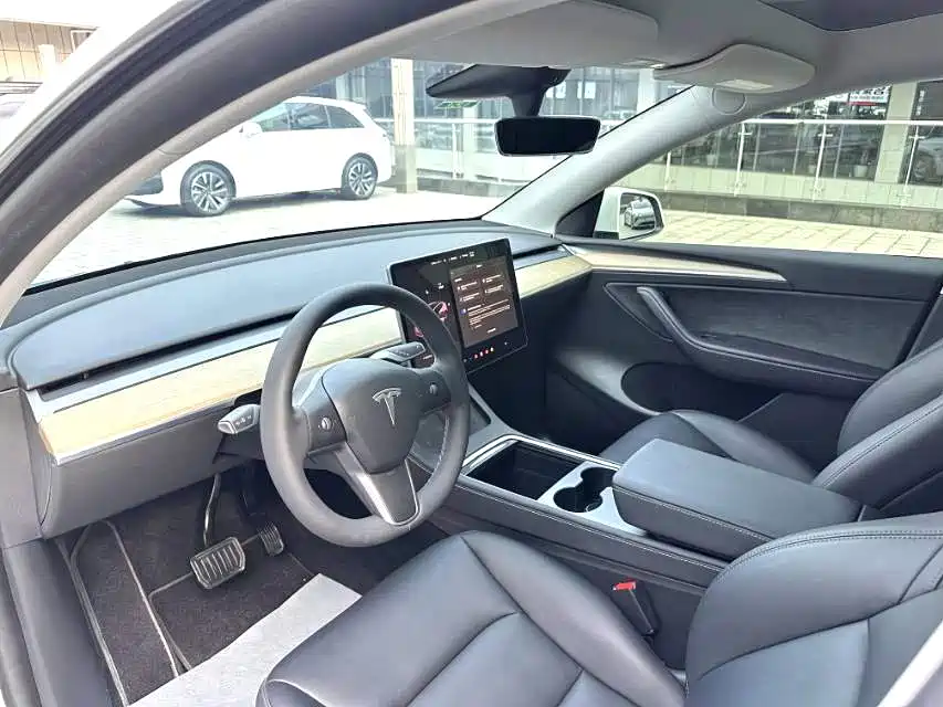 Tesla Model Y — миниатюра 4