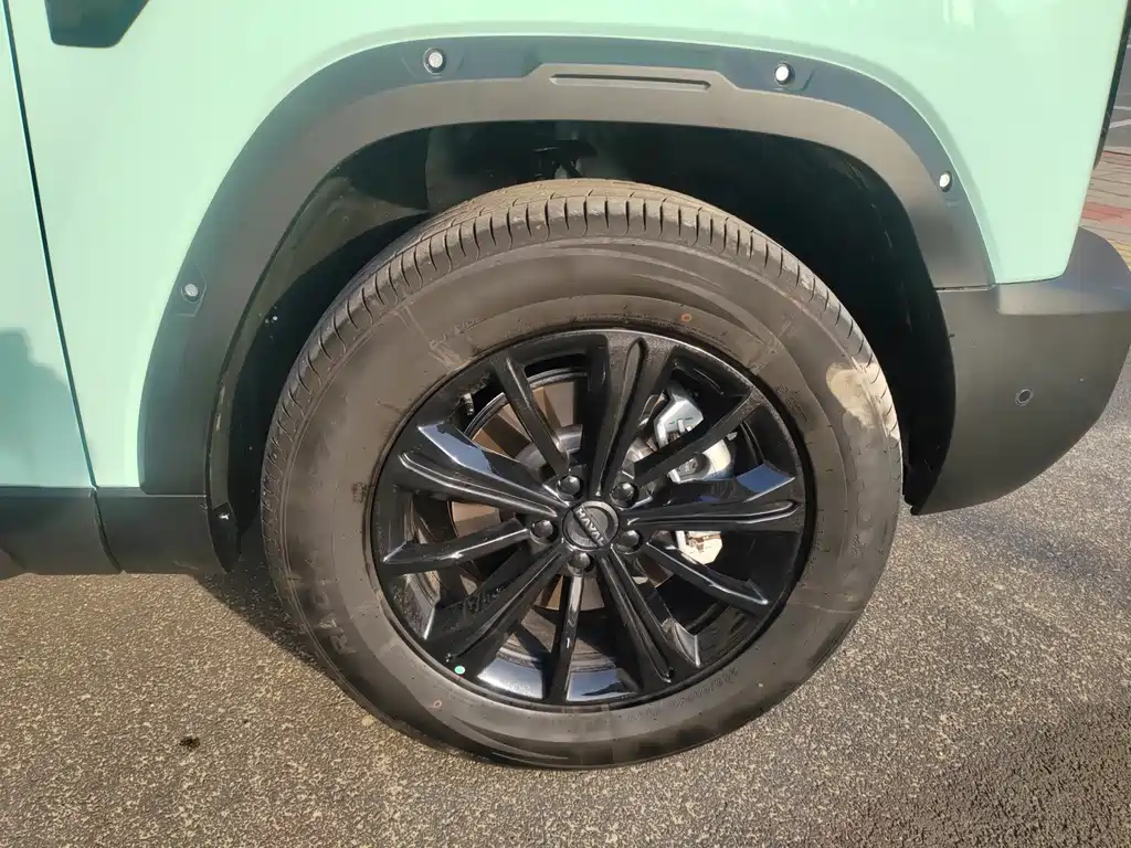 HAVAL RAPTORS NEW ENERGY