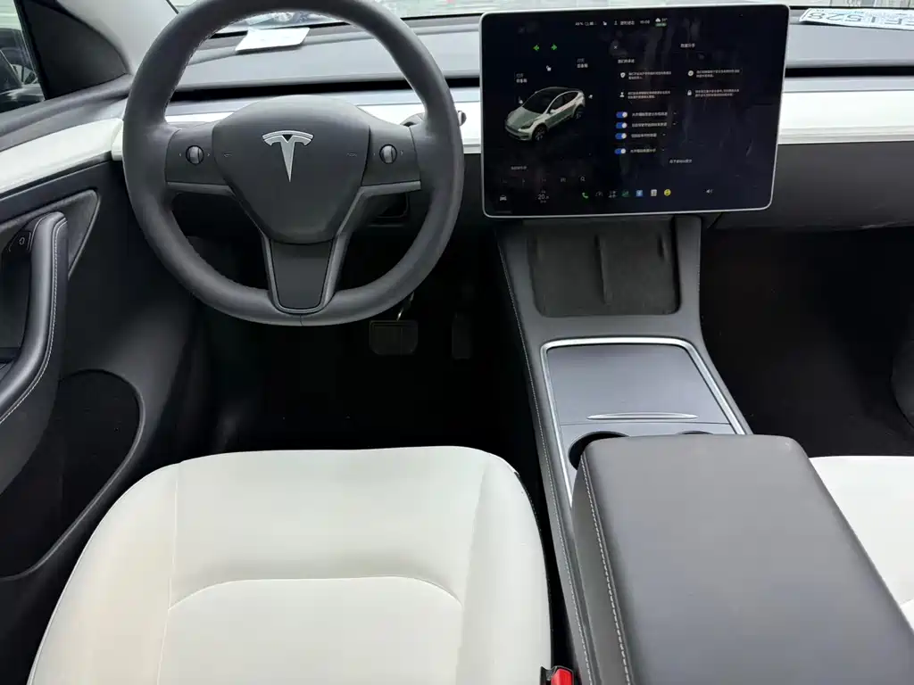 Tesla Model Y — миниатюра 9