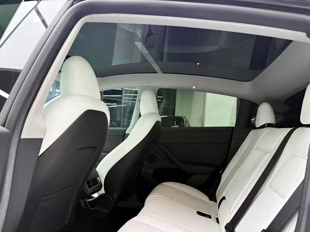 Tesla Model Y — миниатюра 11