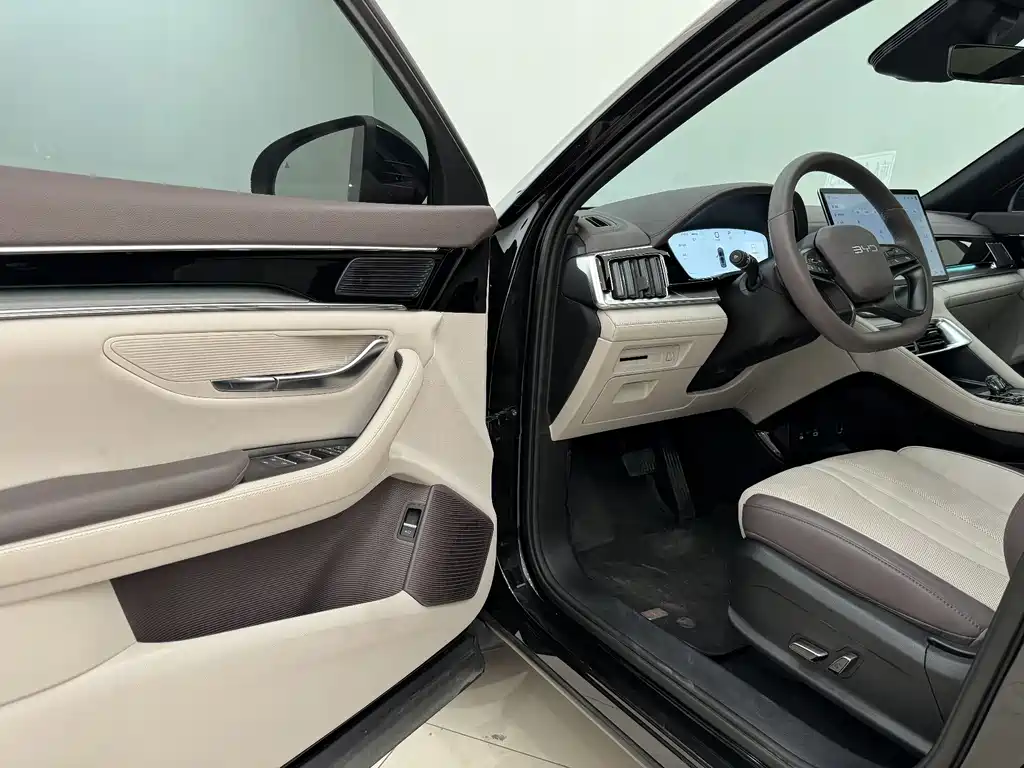 BYD SONGJIANG NEW ENERGY