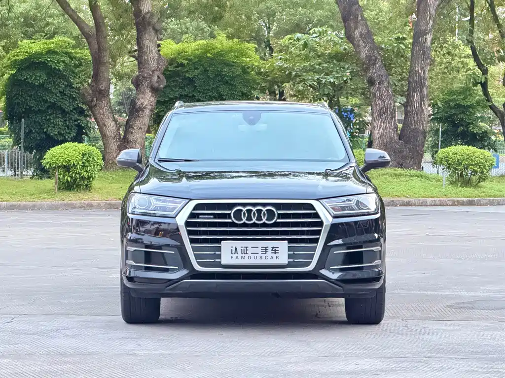 Audi Q7 — миниатюра 2