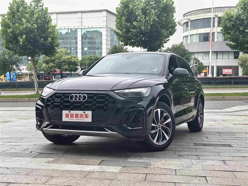 Audi Q5L 2025 40 TFSI Luxury Dynamic Type