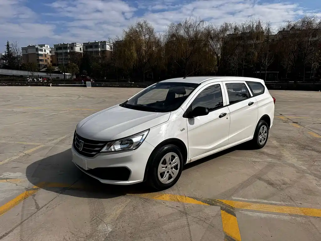 BAOJUN 310W