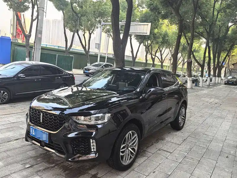 WEI PAI WEI BRAND VV5