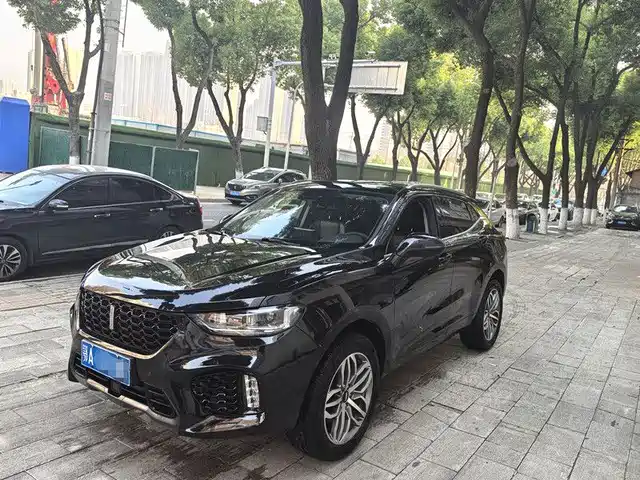 WEI PAI WEI BRAND VV5 2019