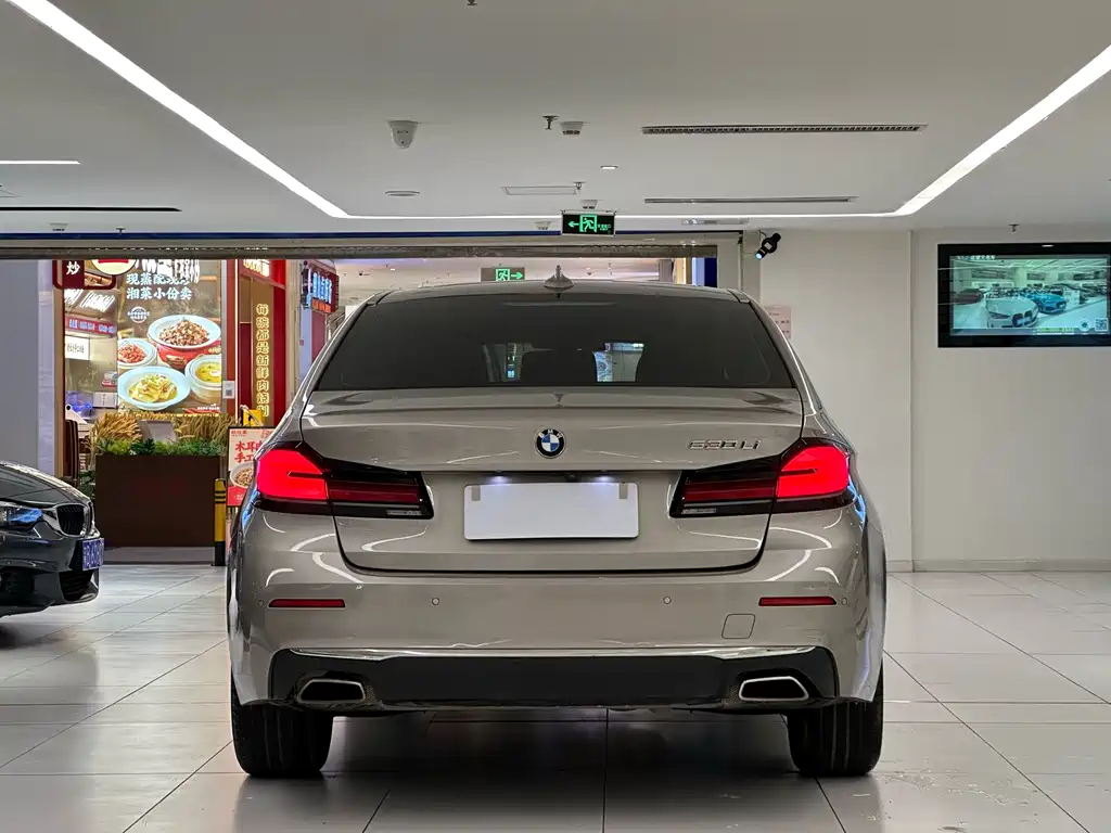 BMW 5 Series 5 2021 530Li Lead Luxury