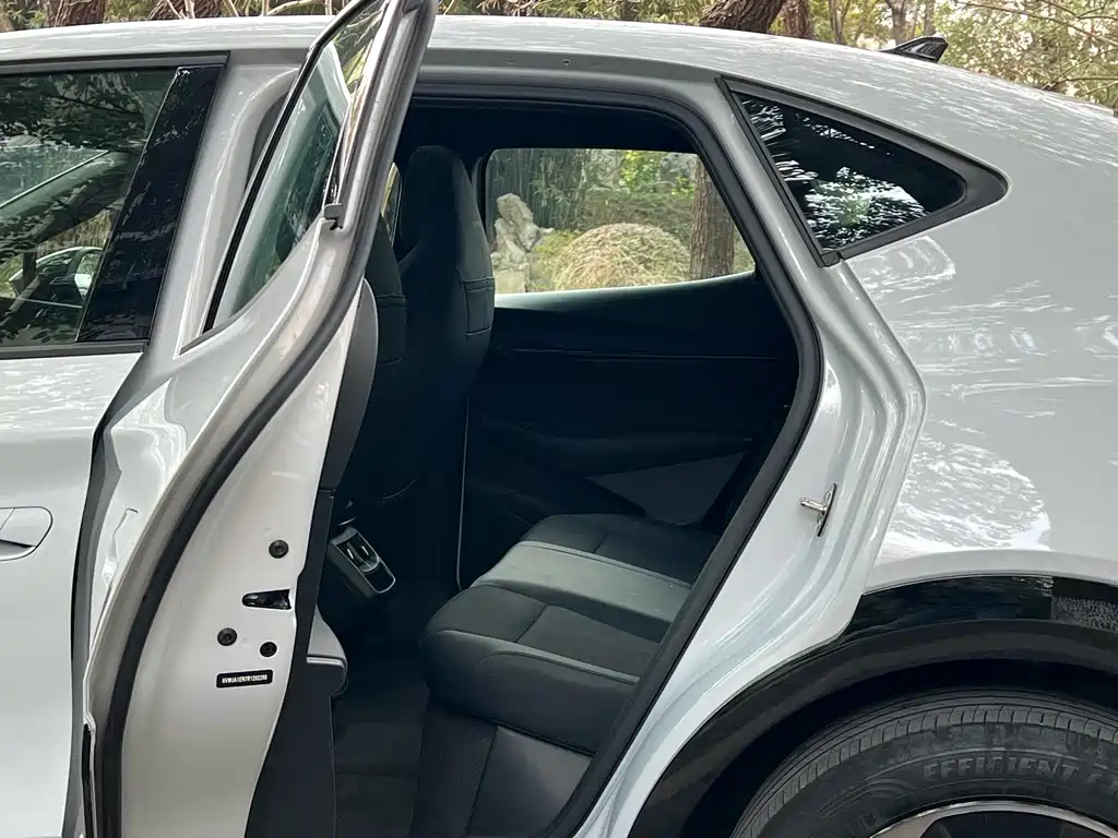 VOLKSWAGEN WITH THE CROWD 06