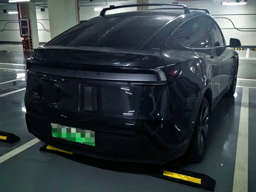Tesla Model Y — миниатюра 6