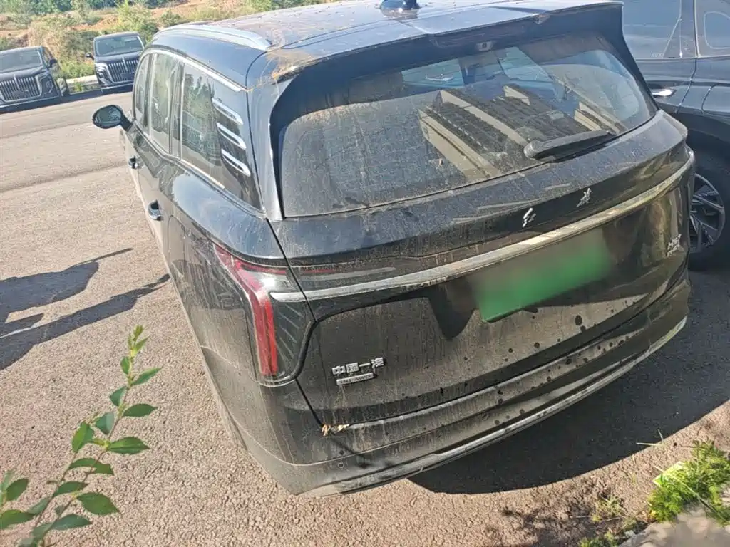 Hongqi HS7 PHEV 2024 2.0T PHEV 7 мест