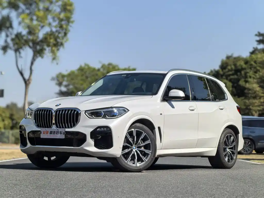 BMW X5 (Import) 2019