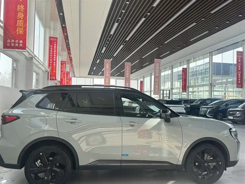 FORD LINGRUI NEW ENERGY