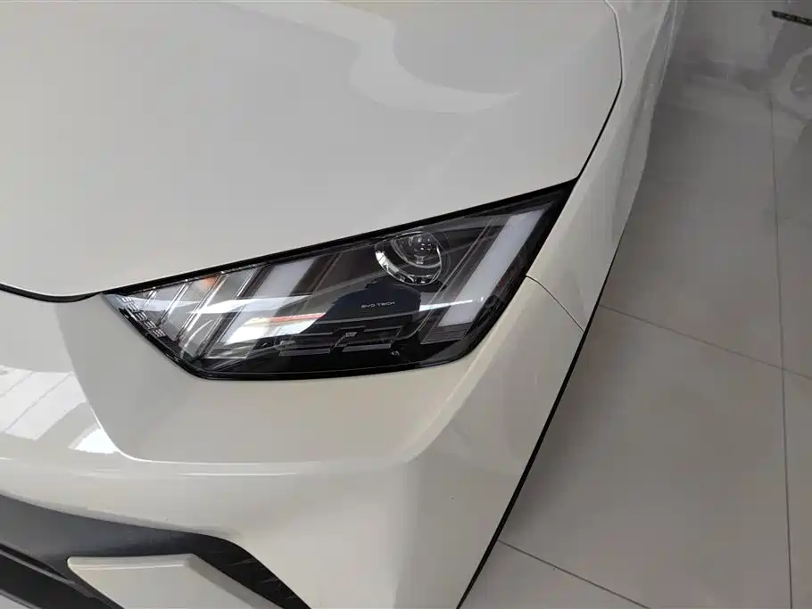 BYD Seagull 2024 305km