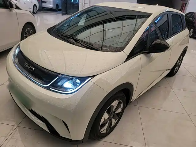 2024 BYD Dolphin