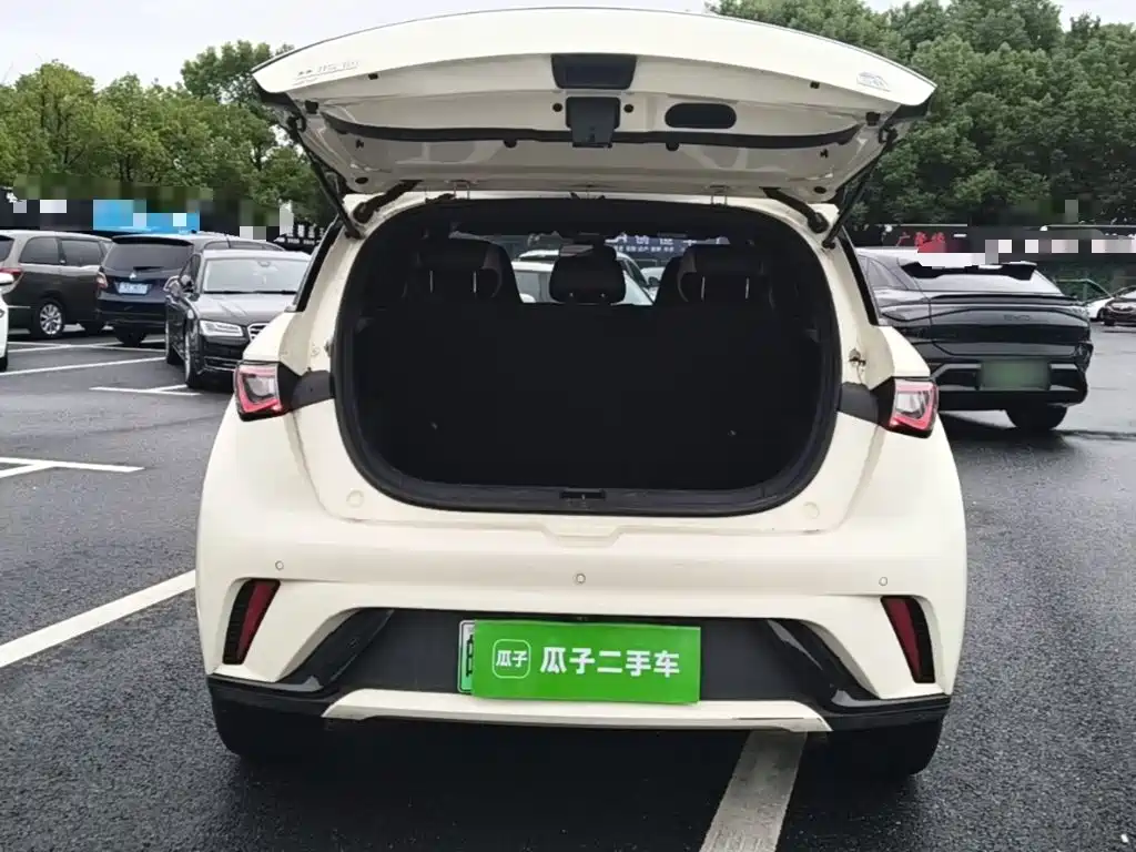 BYD Dolphin — миниатюра 19