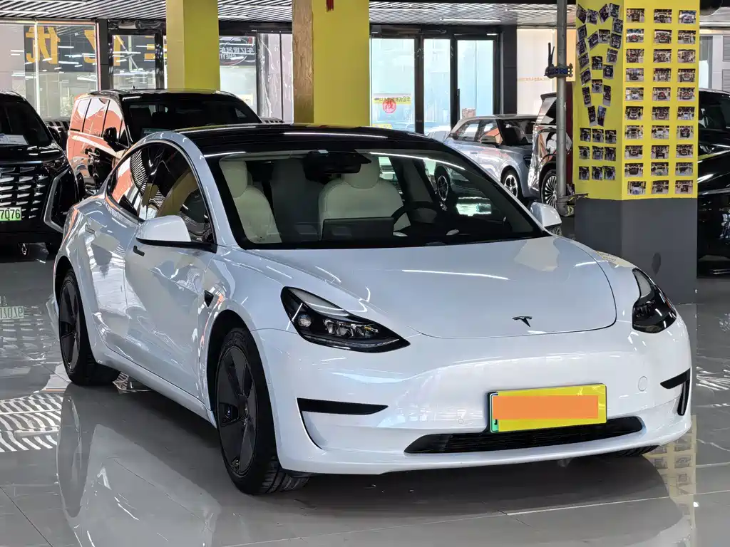 Tesla Model 3 2021 3D1