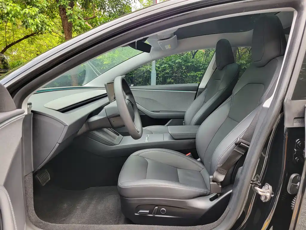 Tesla Model 3 — миниатюра 7