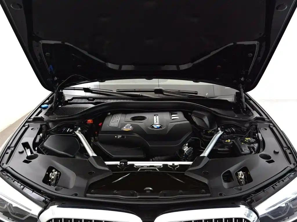 BMW 5 Series 5 2020 530Li Lead Luxury