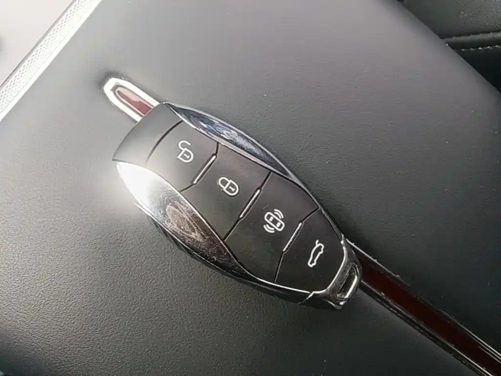 Hongqi Hongqi HS7 PHEV — миниатюра 9