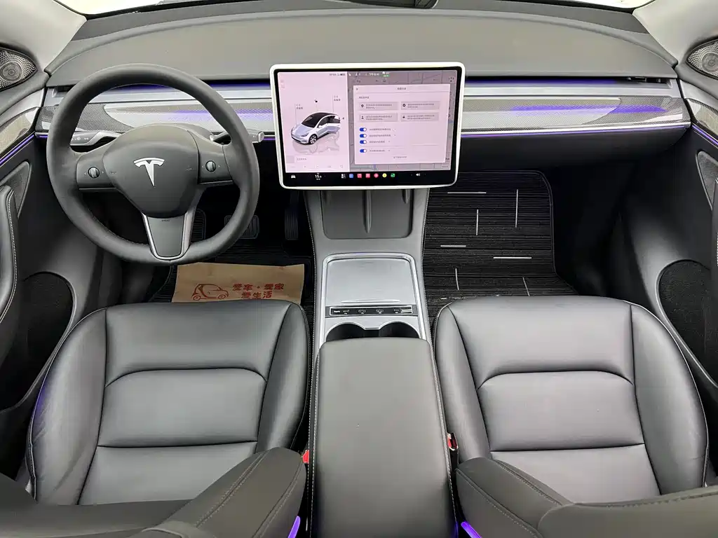 Tesla Model Y — миниатюра 10