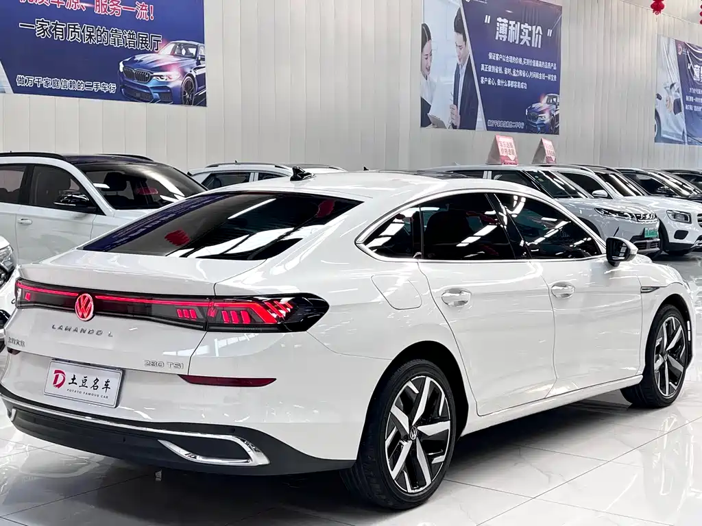 Volkswagen Lamando — миниатюра 5