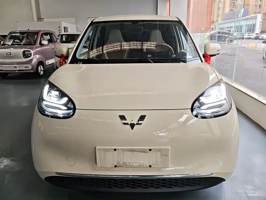 Wuling Binguo 2025 333km Enjoy