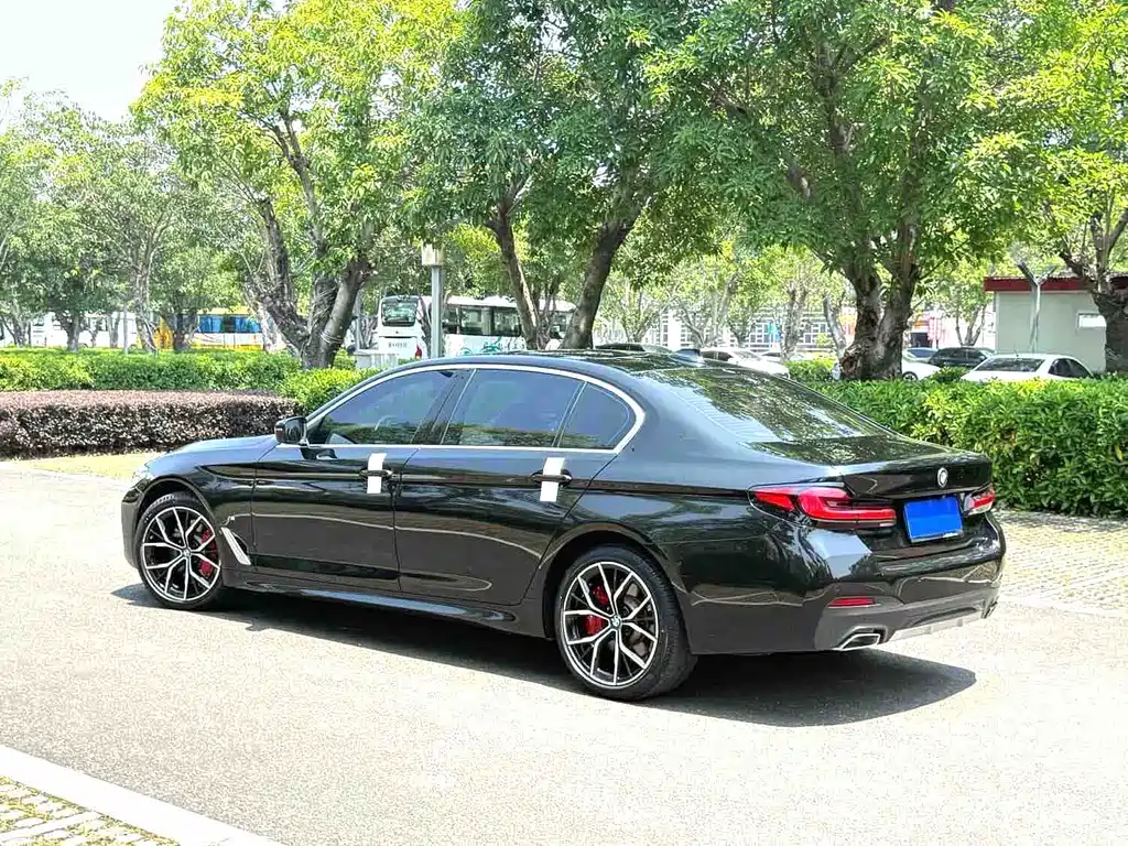 BMW 5 Series 5 2021 530Li Premium M Sport