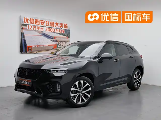2019 Wey VV7