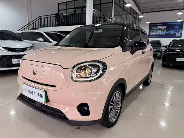 2022 Leapmotor T03