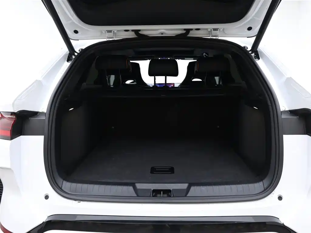 BYD SONGJIANG NEW ENERGY