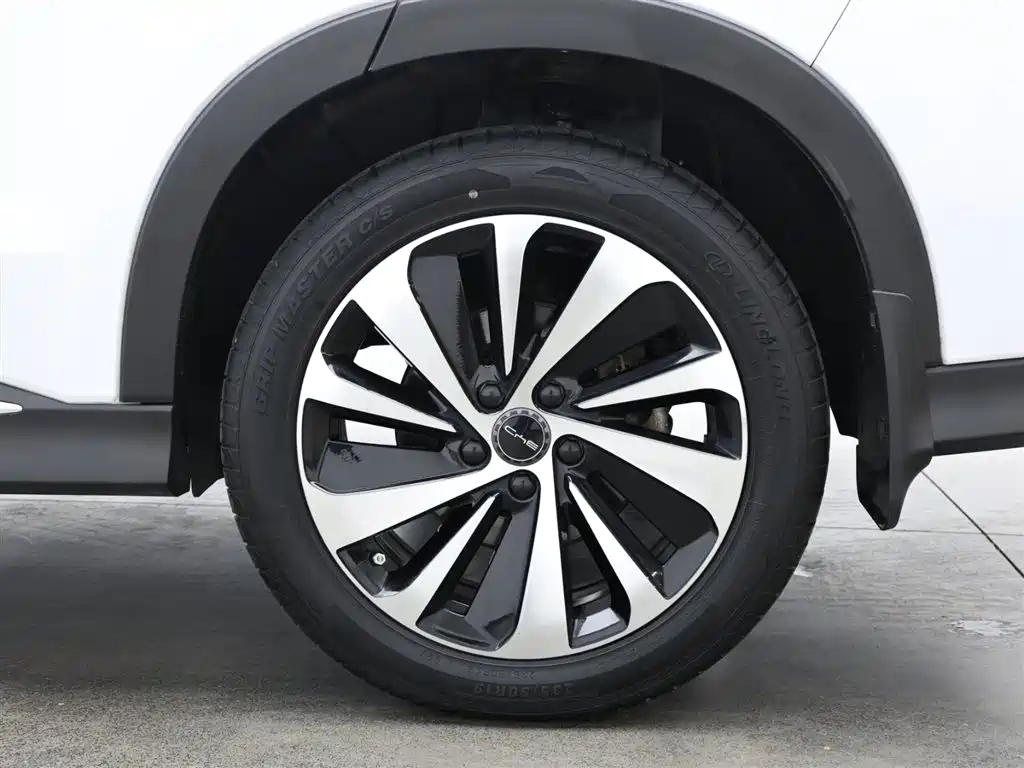 BYD SONGJIANG NEW ENERGY