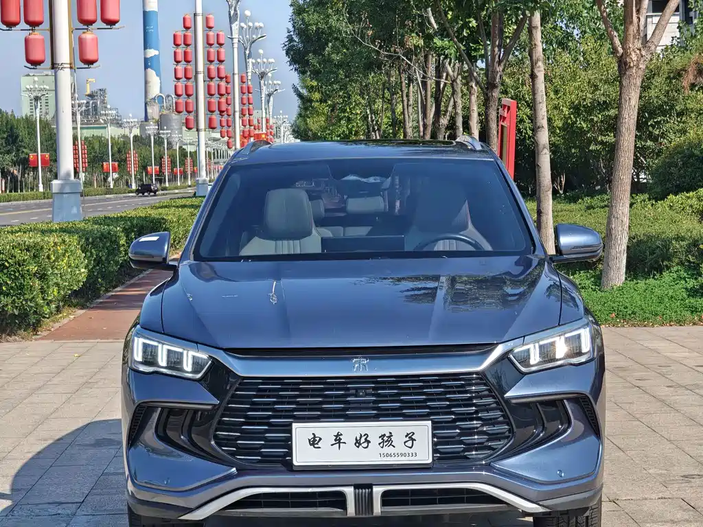 BYD Pro New Energy — миниатюра 2