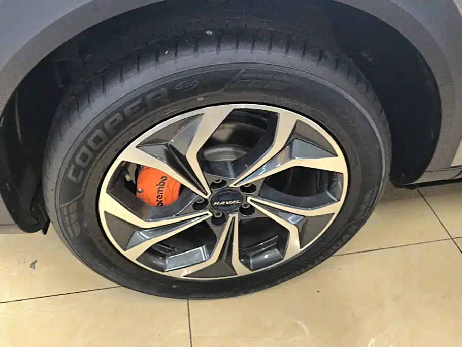 Haval Shenshou — миниатюра 6