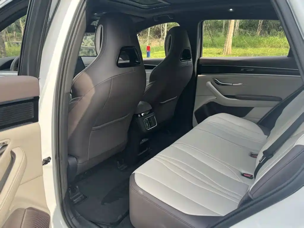 BYD PLUS New Energy — миниатюра 6