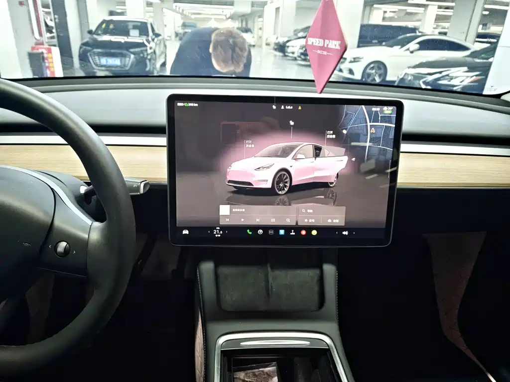 Tesla Model Y — миниатюра 8