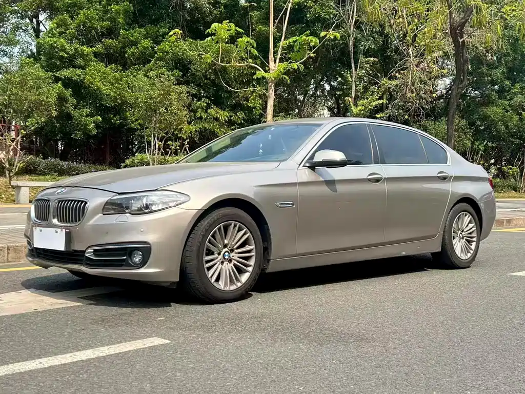 BMW 5 Series 2015
