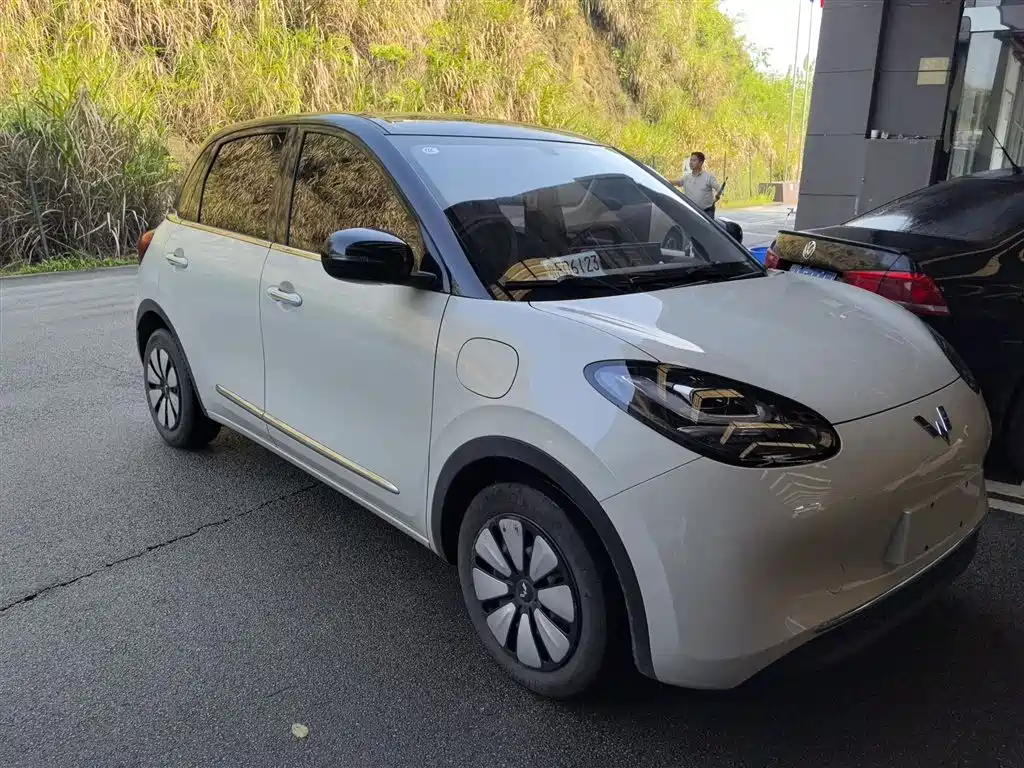 Wuling Binguo 2024 333km Enjoy