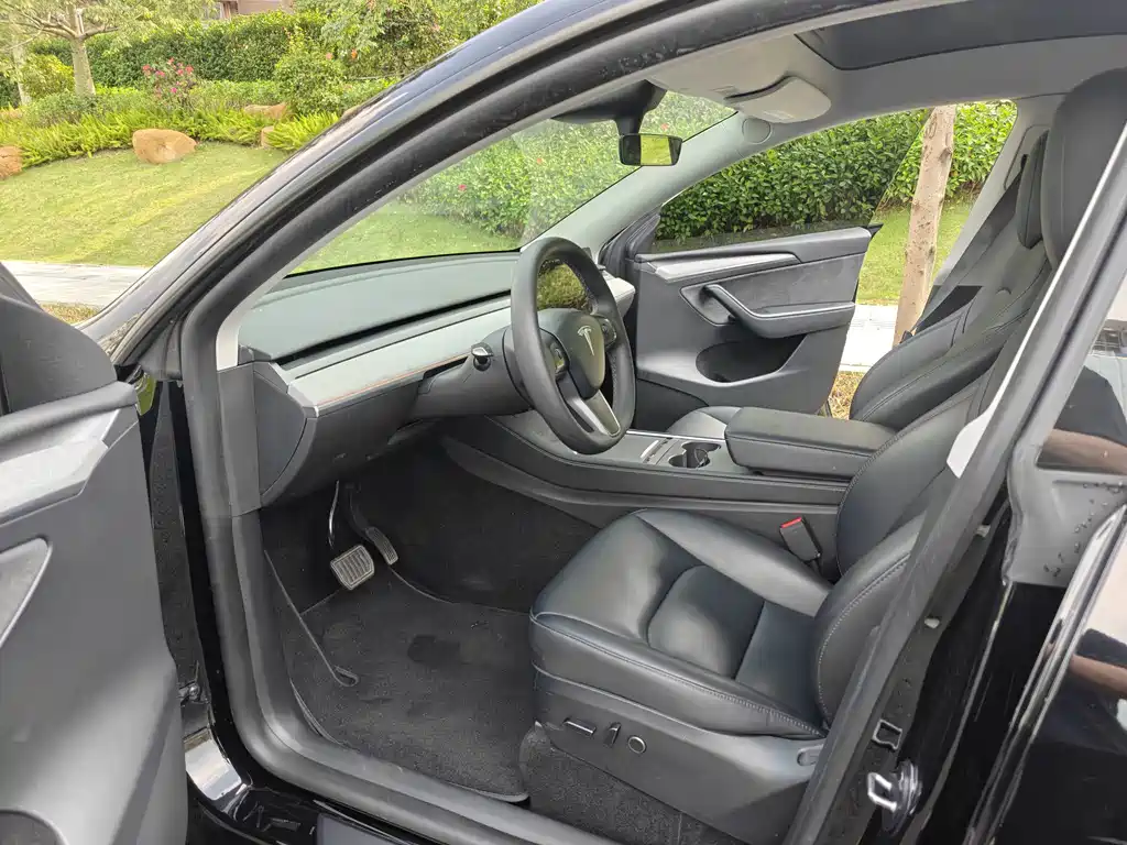 Tesla Model Y — миниатюра 4