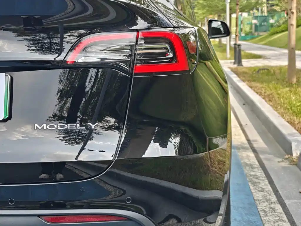 Tesla Model Y — миниатюра 18