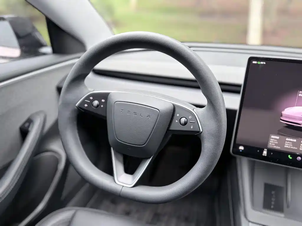 Tesla Model 3 — миниатюра 13