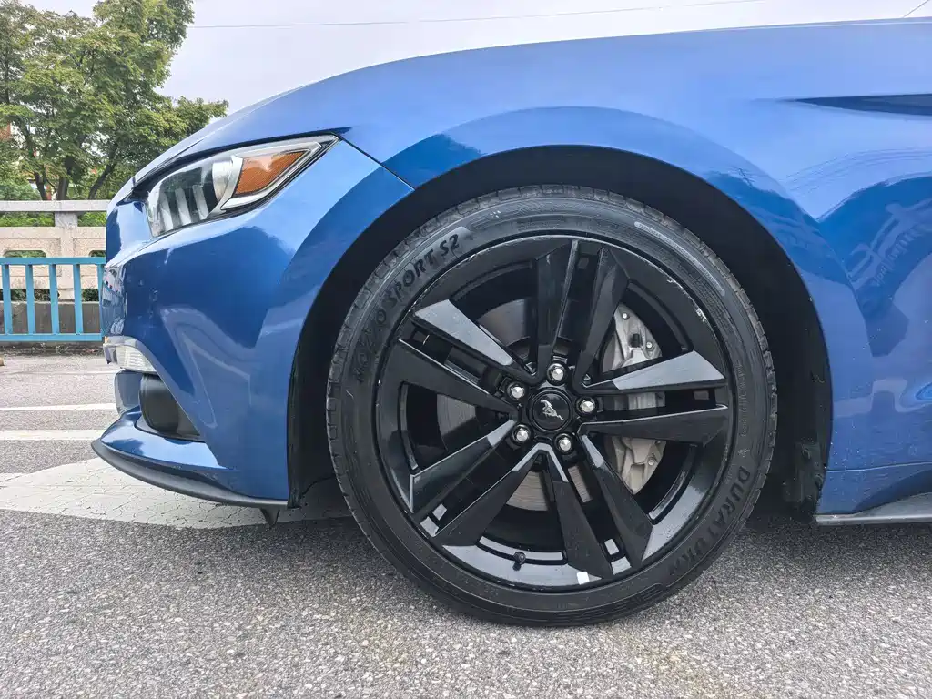 Ford Mustang — миниатюра 20