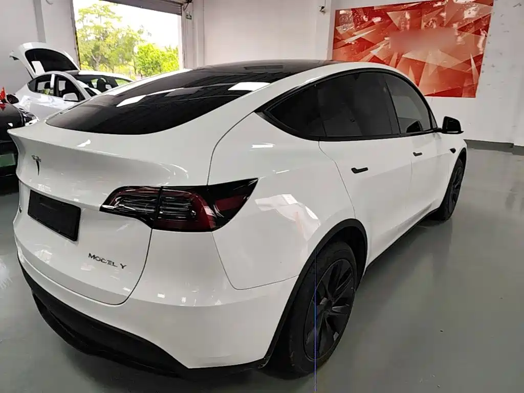 Tesla Model Y — миниатюра 7