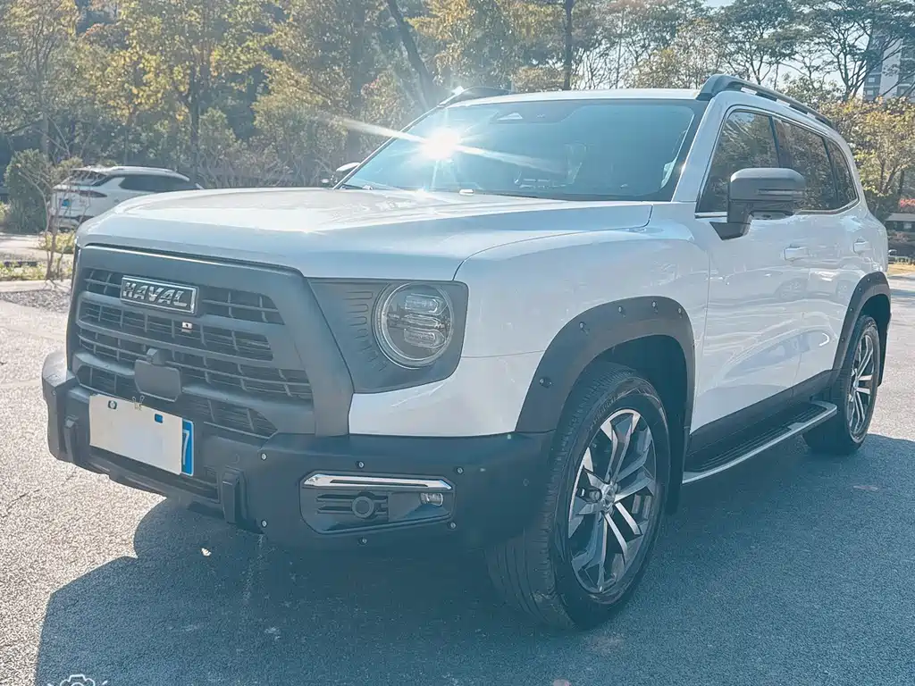 HAVAL BIG DOG
