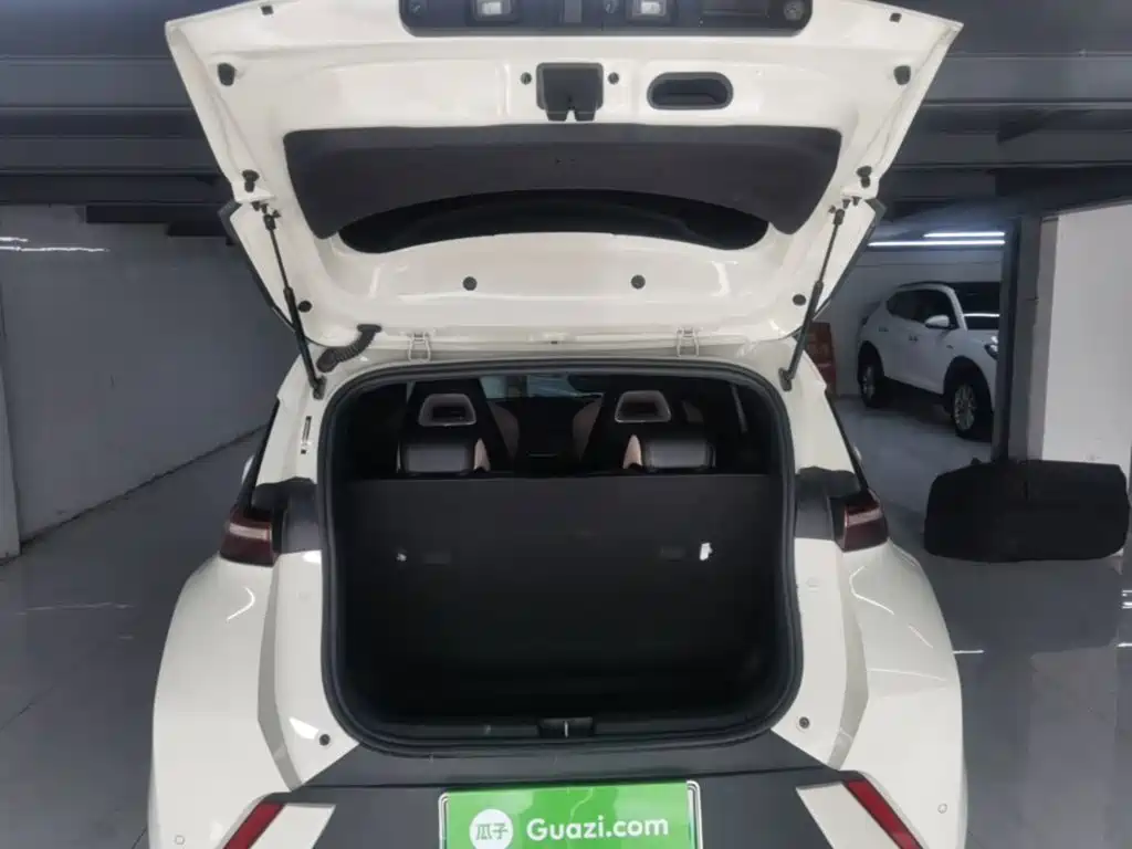 BYD Seagull — миниатюра 19