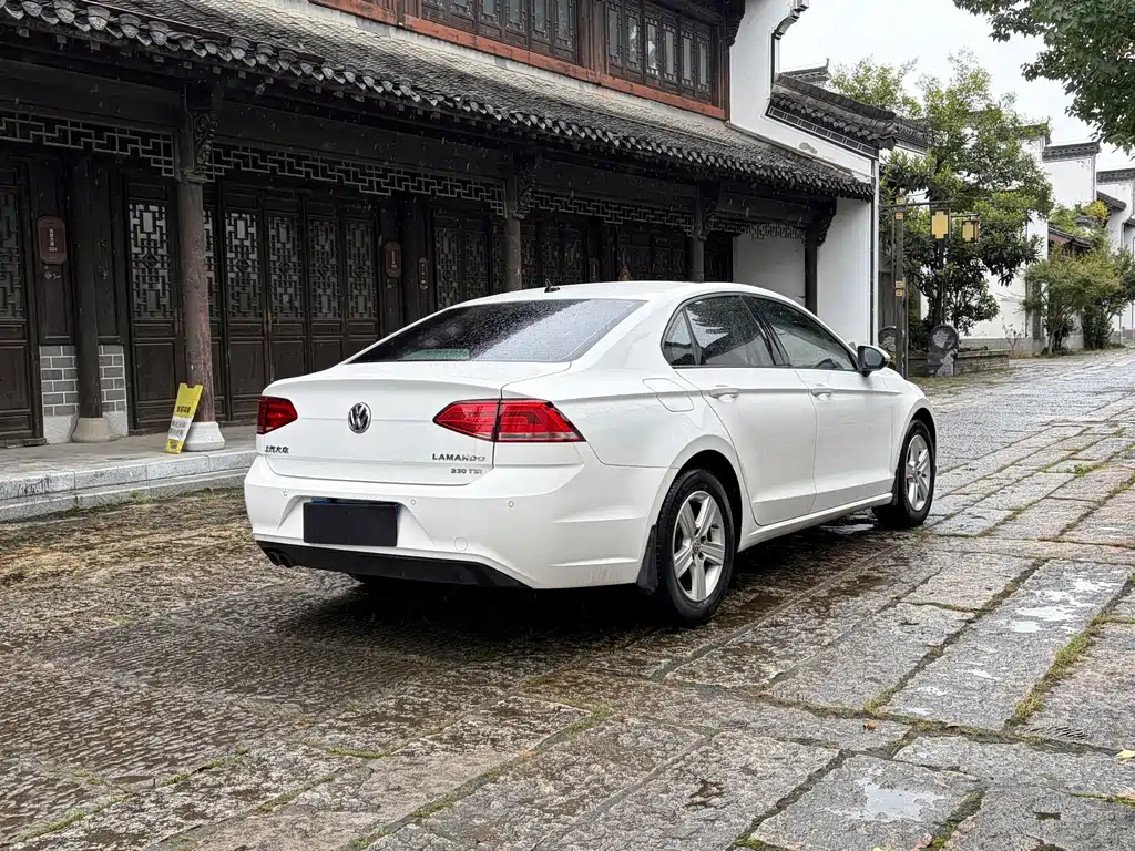 Volkswagen Lamando — миниатюра 7