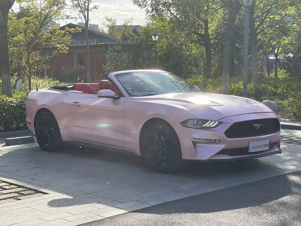 Ford Mustang — миниатюра 3
