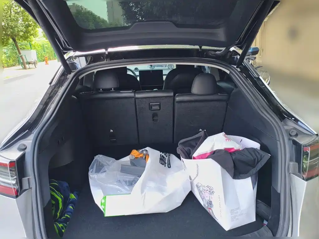 Tesla Model Y — миниатюра 20