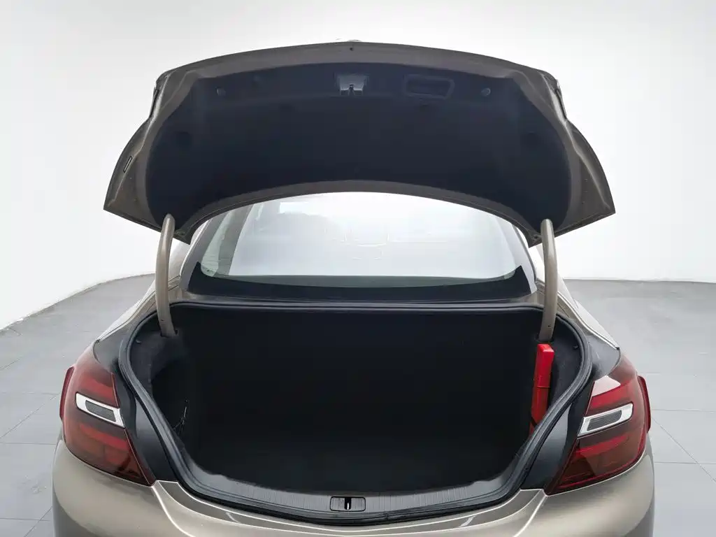 Buick Regal — миниатюра 16