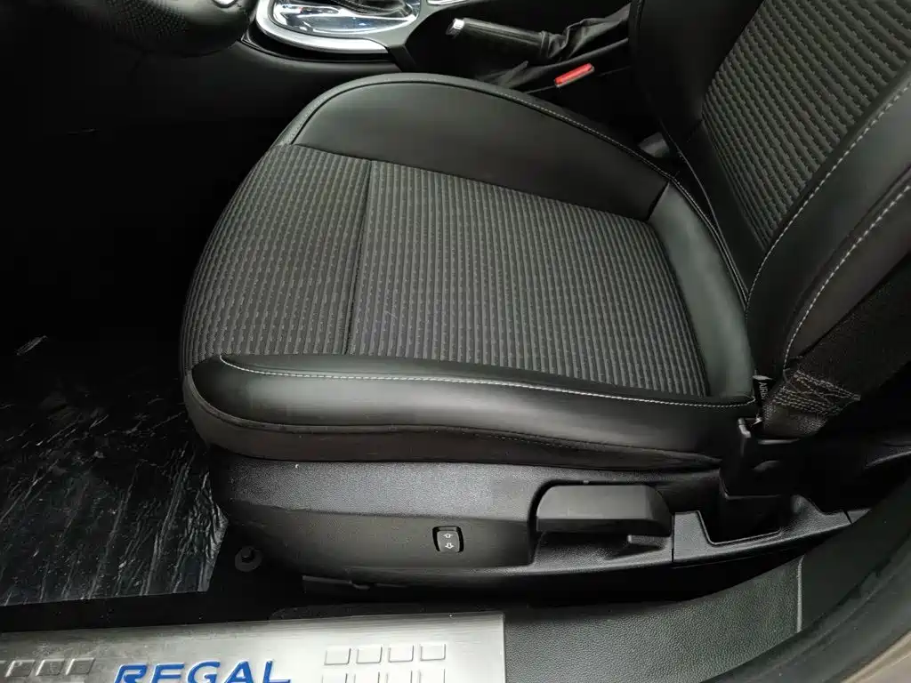 Buick Regal — миниатюра 20