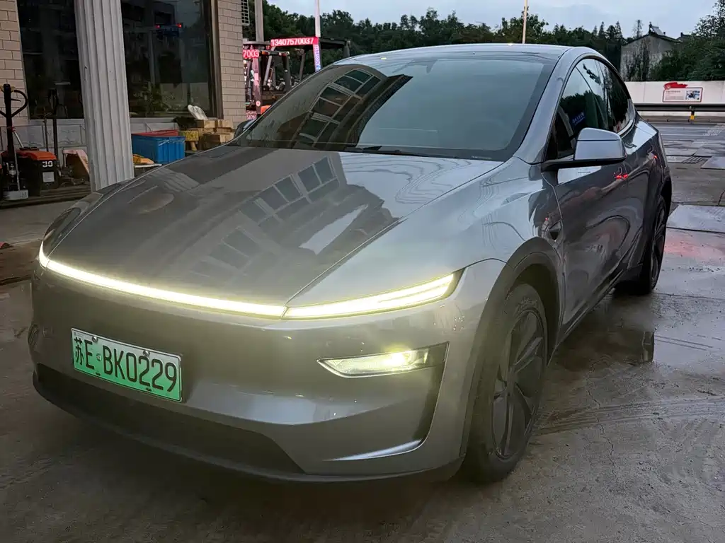 Tesla Model Y — миниатюра 3